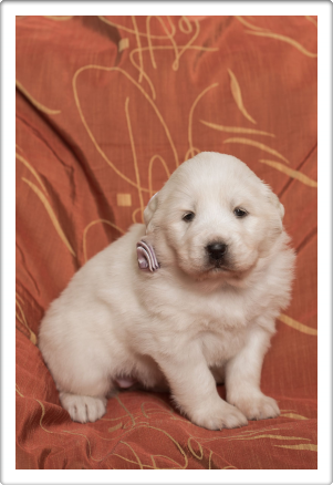 Capture One Session0214